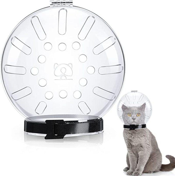 Cat muzzle hot sale wish