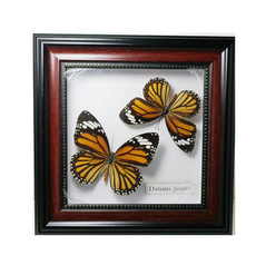 butterfly, Photo Frame, Natural, Gifts