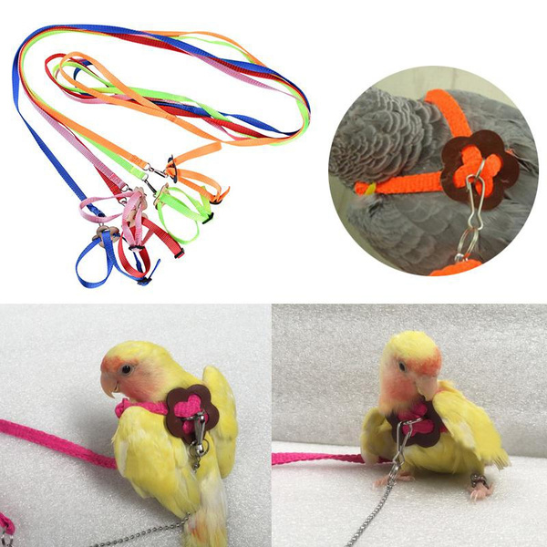 Bird Harness Adjustable Parrot Leash Bird Rope Anti Bite For All Kinds