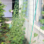 thumbnail - 3