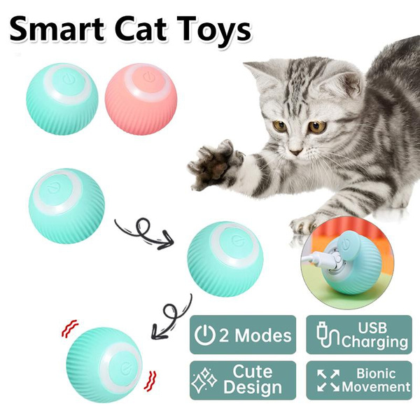 Wish best sale cat toys