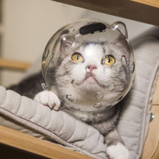 Helmet, catmuzzlehelmet, eye, Beauty