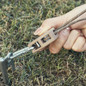 thumbnail - 5