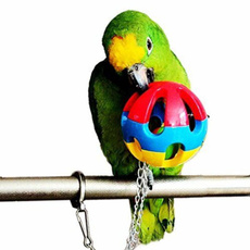 Toy, Colorful, Bell, parrottoy