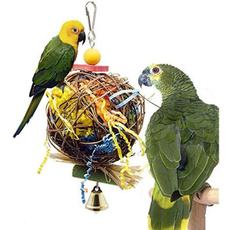 Toy, Parrot, Grey, conure