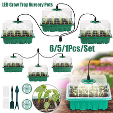flowerseedlingspot, Box, Plants, seedstartertray