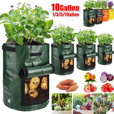 seedsgrowbox, plantbag, Garden, plantcontainer