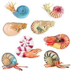 Toy, marinemollusk, Gifts, Festival
