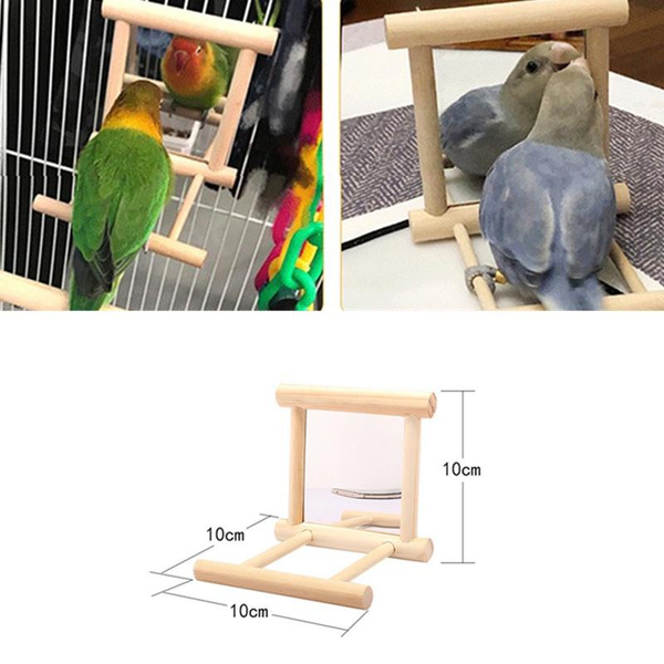 Bird Swing Toy Wooden Parrot Perch Stand Playstand Cage Playground for ... - Large Macaw Playstand And Cage Combo