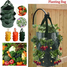 planting, Plants, plantbag, Gardening