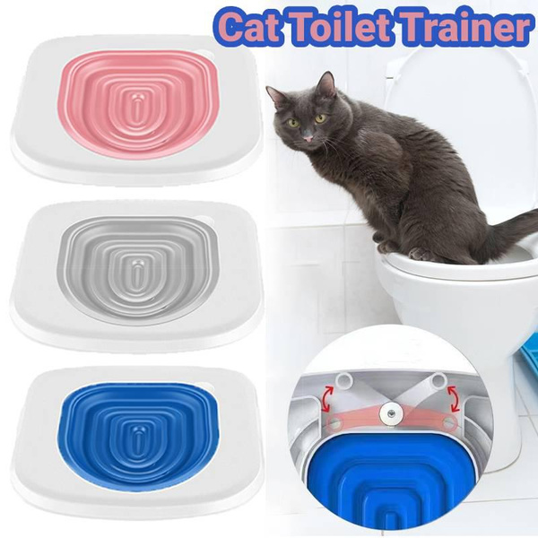 Toilet training 2024 kit for cats