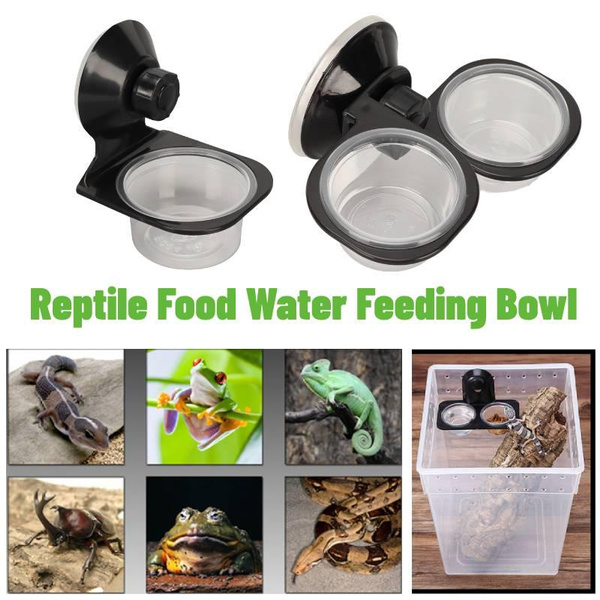 Reptiles & Amphibians Lizard Gecko Suction Cup Feed Bowls Food 