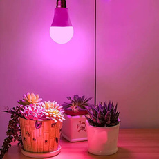 Plants, Flowers, led, Led Bulb