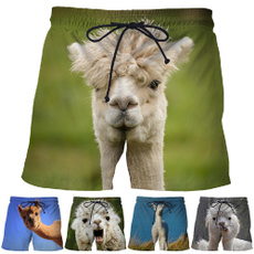 Funny, Shorts, alpaca, Fashion