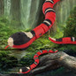 thumbnail - 2