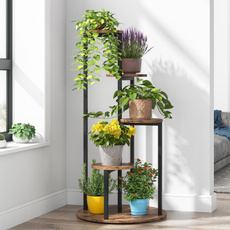Indoor, purchase, Plants, buy