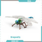 thumbnail - 6