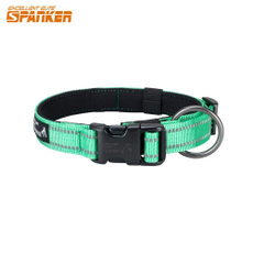 Medium, Pets, Buckles, Nylon