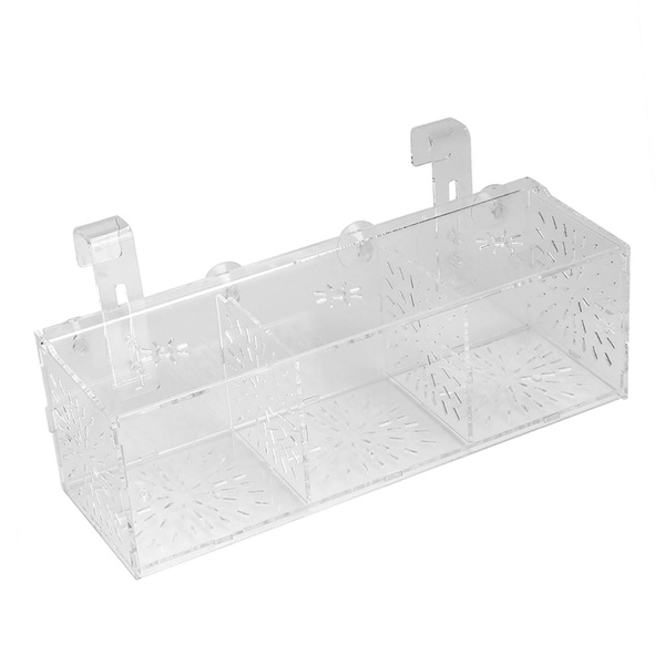 Acrylic Fish Breeding Isolation Box: A Must-Have for Aquarists! Acrylic Fish Breeding Isolation Box: A Must-Have for Aquarists!