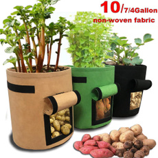 seedsgrowbox, plantbag, Gardening, Garden