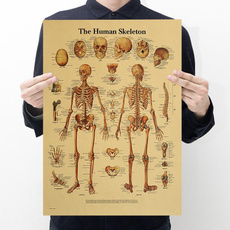 Body, Decor, Skeleton, Wall