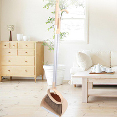 sz, Home & Living, broom, mop