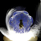thumbnail - 9