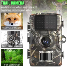 trailcamera, Outdoor, Hunting, wildlifecamera