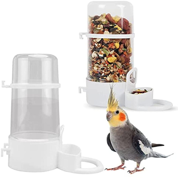 Parrot food clearance dispenser