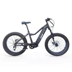 electricvehicle, Bicycle, lithiumbattery, Sports & Outdoors
