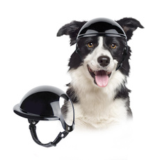 Helmet, Fashion, Motorcycle, Pets