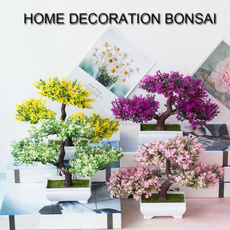 Bonsai, Mini, Plants, Outdoor