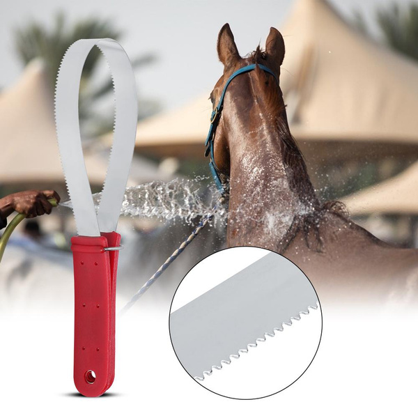 Horse Shedder Scraper Stainless Steel Shedder Scraper Tool Single ...