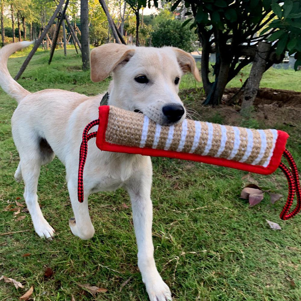 Dog Tug Toy Tug of War Dog Toy Bite Pillow with 2 Handles for Puppy ...