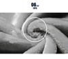 thumbnail - 12