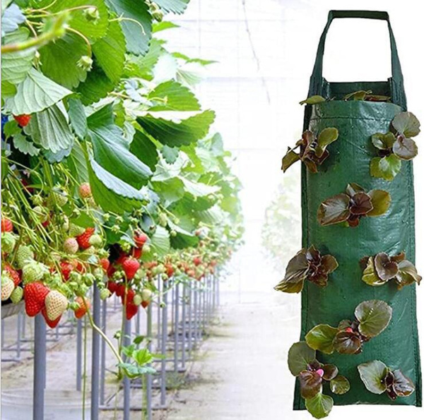 Garden Strawberry Vegetable Plant Grow Bag Strawberry Grow PlanterWall