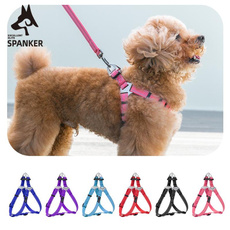 Pets, Harness, Medium, puppy