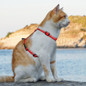 thumbnail - 8