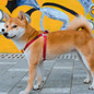 thumbnail - 8