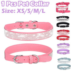 Pets, Collar, puppy, Dogs
