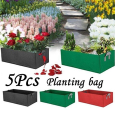 Box, Plants, Flowers, Gardening
