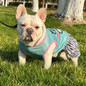 thumbnail - 3