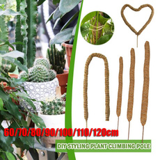 Plants, plantstickssupport, mosspoleforplant, mosspolesforclimbingplant