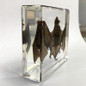 thumbnail - 2