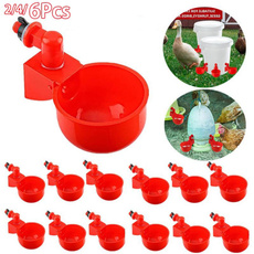 fowldrinker, chickenwatercup, waterfeeder, birdwaterer