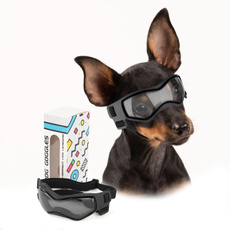 Fashion, Pets, Goggles, Dogs