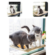 Capacity, Cat Bed, Pets, Kitten