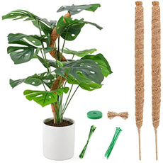 plantmosspole, mossforpottedplant, plantsupportforindoorplant, Indoor