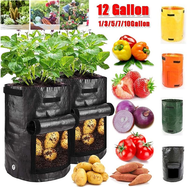 15 gallon potato grow bags