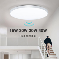 Home & Kitchen, ceiling, 12, led